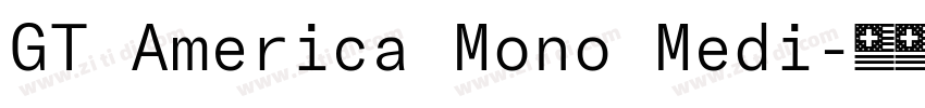 GT America Mono Medi字体转换